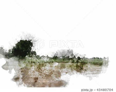 Abstract tree and field landscape on watercolor 43480704