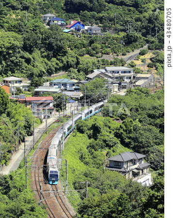 スーパービュー踊り子号 43480705