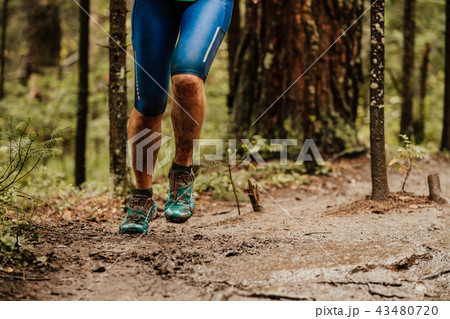 woman runner running in autumn trail woman runner running in autumn trail 43480720