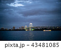 お台場の橋 43481085