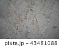 白い岩肌２ 43481088