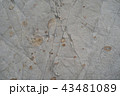 白い岩肌３ 43481089