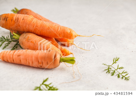Raw carrots on a white background. 43481594