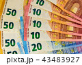 Banknotes of Euro Money. Euro cash background. Bus 43483927