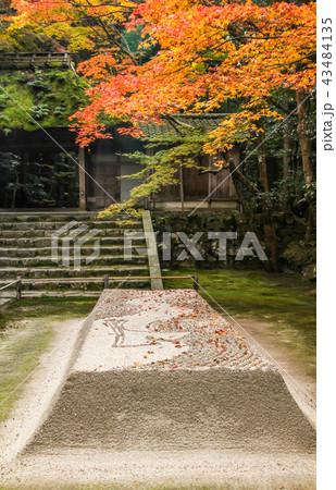 法然院、白砂壇に散る紅葉の写真素材 [43484135] - PIXTA