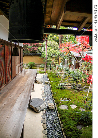 大徳寺興臨院の紅葉、苔の庭に紅葉 大徳寺興臨院の紅葉、苔の庭に紅葉 43484171