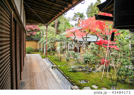 大徳寺興臨院の紅葉 苔の庭に紅葉の写真素材