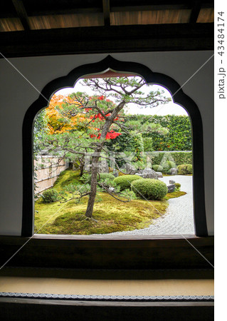 大徳寺興臨院の紅葉、花頭窓から見る方丈前庭 大徳寺興臨院の紅葉、花頭窓から見る方丈前庭 43484174