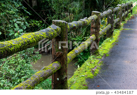 Concrete fence post bridge with moss. Concrete fence post bridge with moss. 43484187