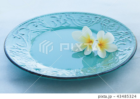 two spa flower on plate with sunlight outdoors 43485324