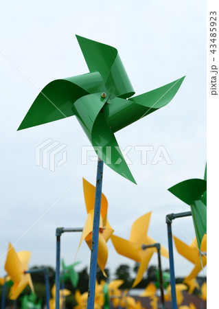 風車 平和ヌリ公園 臨津閣 43485923