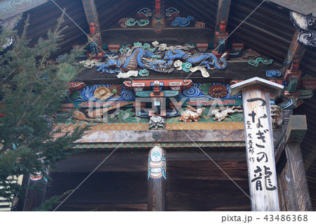 つなぎの龍 つなぎの龍 43486368