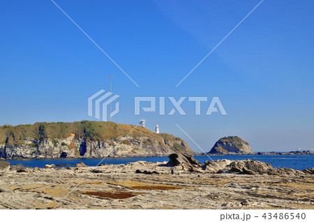 三浦半島松輪海岸 43486540