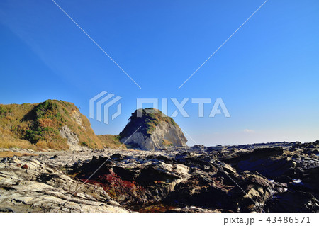三浦半島松輪海岸 43486571