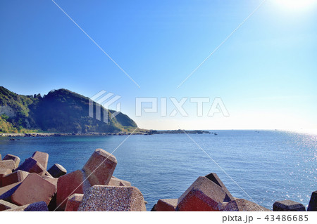 三浦半島松輪海岸 三浦半島松輪海岸 43486685