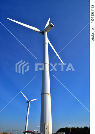 三浦半島風力発電風車 三浦半島風力発電風車 43486748