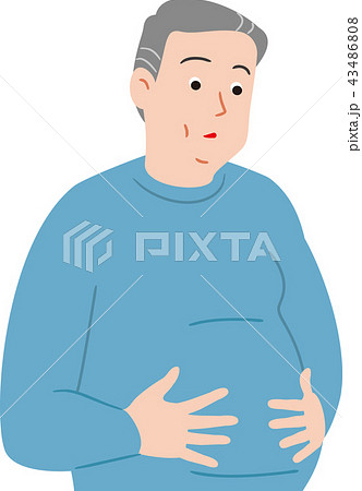 肥満体のシニア 43486808