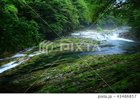 夏の気仙大滝 43486857