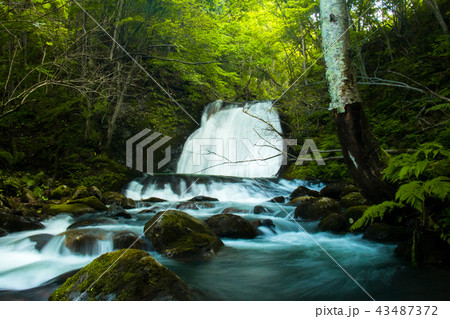 乙女の滝～星置～ 43487372