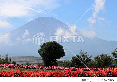 花の都公園 43487465