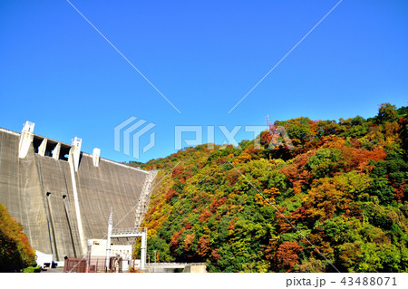 美しい紅葉に染まる宮ケ瀬ダムの写真素材