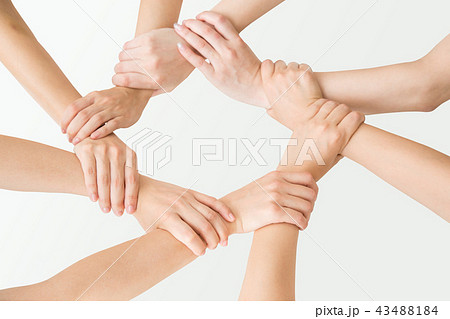 円陣を組む 円陣を組む 43488184