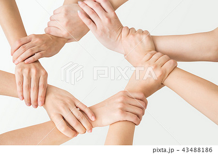 円陣を組む 円陣を組む 43488186