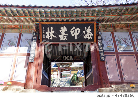 慶南 韓国 屋外 43488266