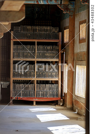 慶南 韓国 屋外 43488302