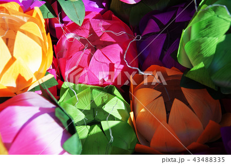 慶南 韓国 屋外 43488335