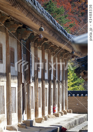 慶南 韓国 屋外 43488336