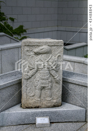 慶南 韓国 屋外 43488843