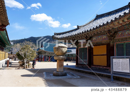 慶南 韓国 屋外 43488879