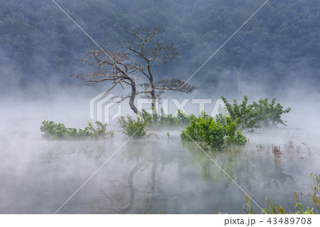 慶南 韓国 自然 43489708