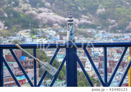 釜山 韓国 屋外 43490125