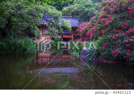 大田 韓国 屋外 43491123