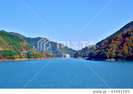 美しい紅葉に染まる宮ケ瀬ダムの写真素材