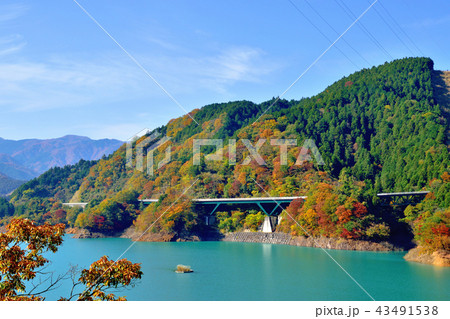 美しい紅葉に染まる宮ケ瀬ダムの写真素材