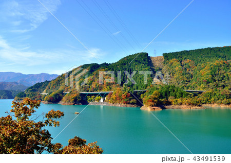 美しい紅葉に染まる宮ケ瀬ダム 43491539