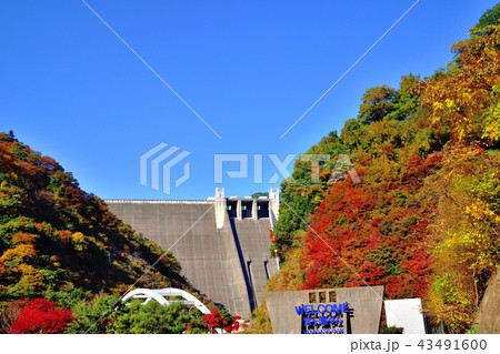 美しい紅葉に染まる宮ケ瀬ダムの写真素材