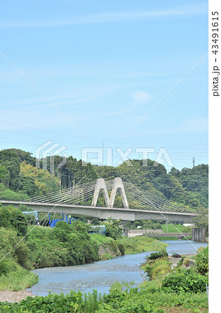 金沢市 あさぎりおおはし 金沢市 あさぎりおおはし 43491615