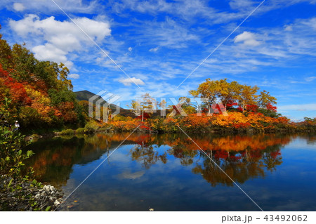 紅葉の大雪高原エゾ沼 紅葉の大雪高原エゾ沼 43492062