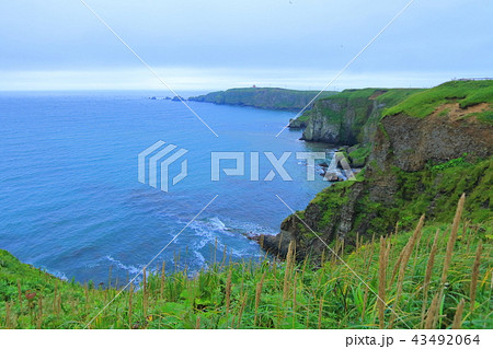 霧多布岬 43492064