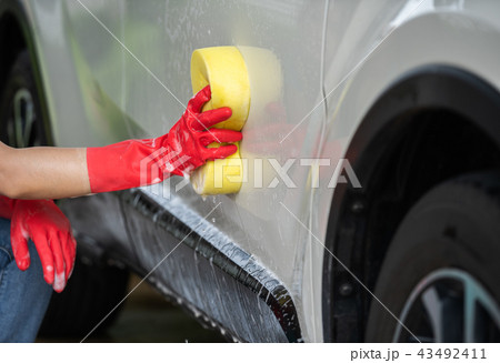 hands holding sponge to washing car hands holding sponge to washing car 43492411