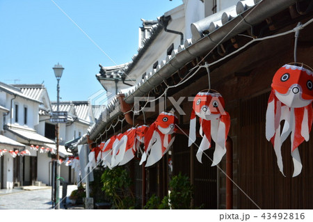 金魚ちょうちん 金魚ちょうちん 43492816