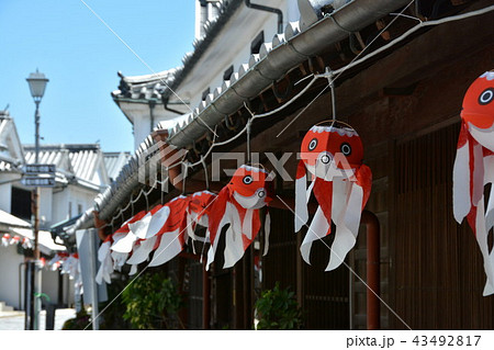 金魚ちょうちん 金魚ちょうちん 43492817