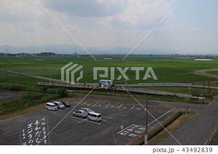 田舎館村 田んぼアート 田舎館村 田んぼアート 43492839