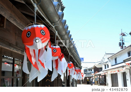 金魚ちょうちん 金魚ちょうちん 43492870