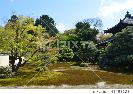 鹿王院の舎利殿と庭園(京都市右京区嵯峨北堀町) 鹿王院の舎利殿と庭園(京都市右京区嵯峨北堀町) 43493123