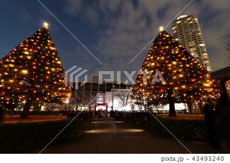 立教大学とクリスマスツリーとザ タワー グランディアの写真素材